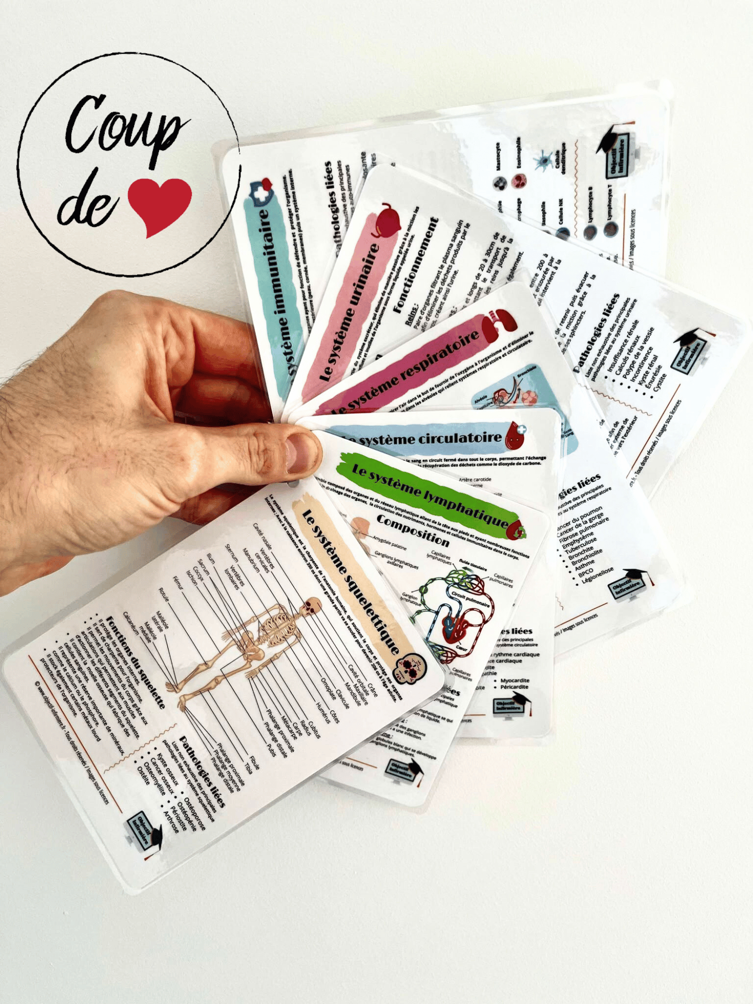 Fiches Mémo Anatomique pour IDE & ESI infirmier & infirmière - Aide soignant - Fiches de révisions infirmière