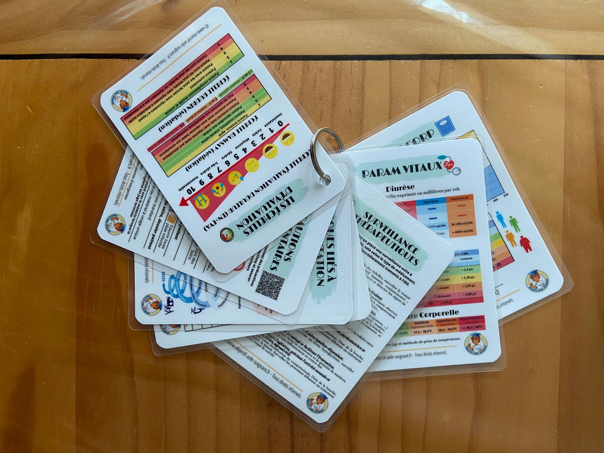 tout ce qu'un étudiant aide-soignant doit connaitre à travers 14 fiches