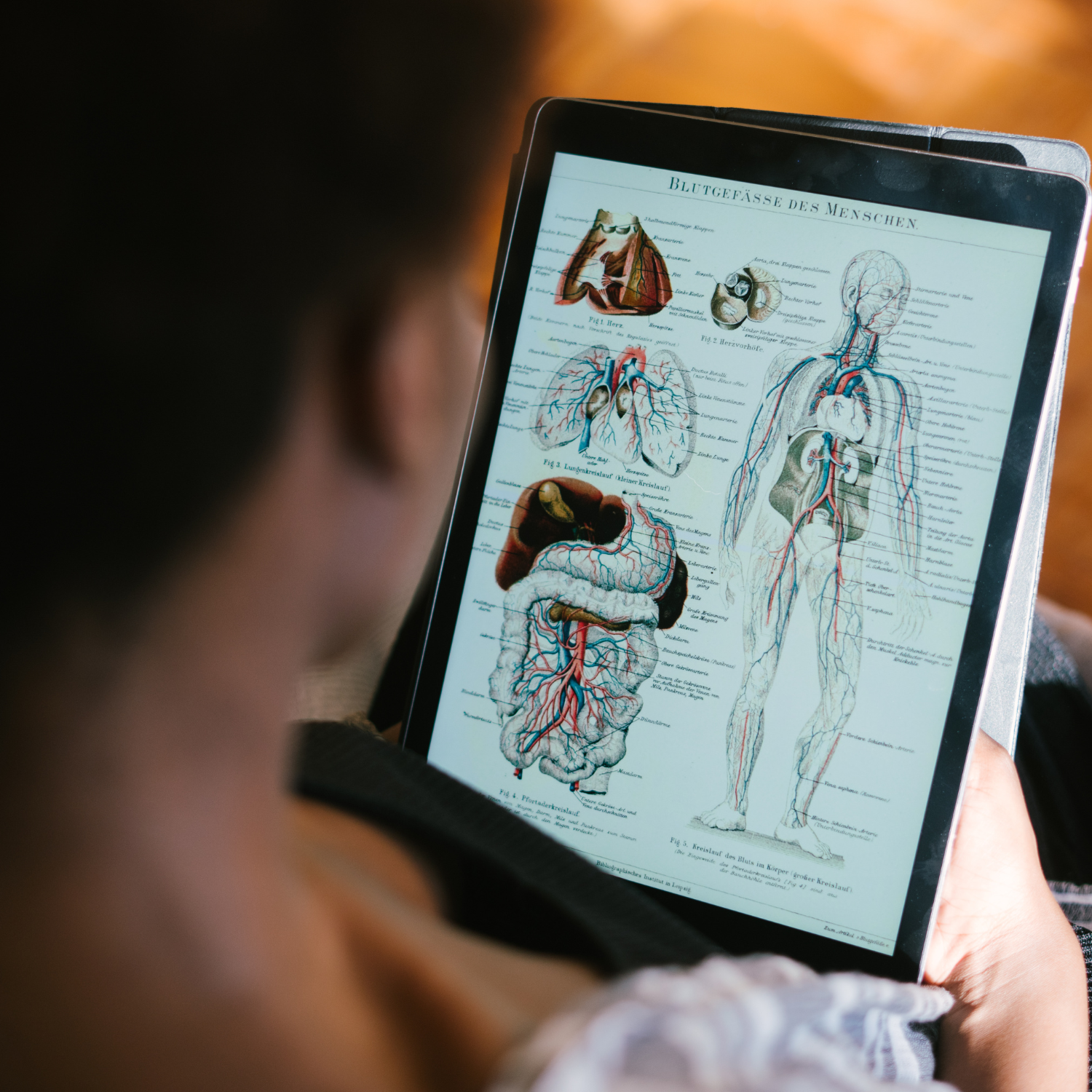 systèmes du corps humain Fiches anatomie soignant