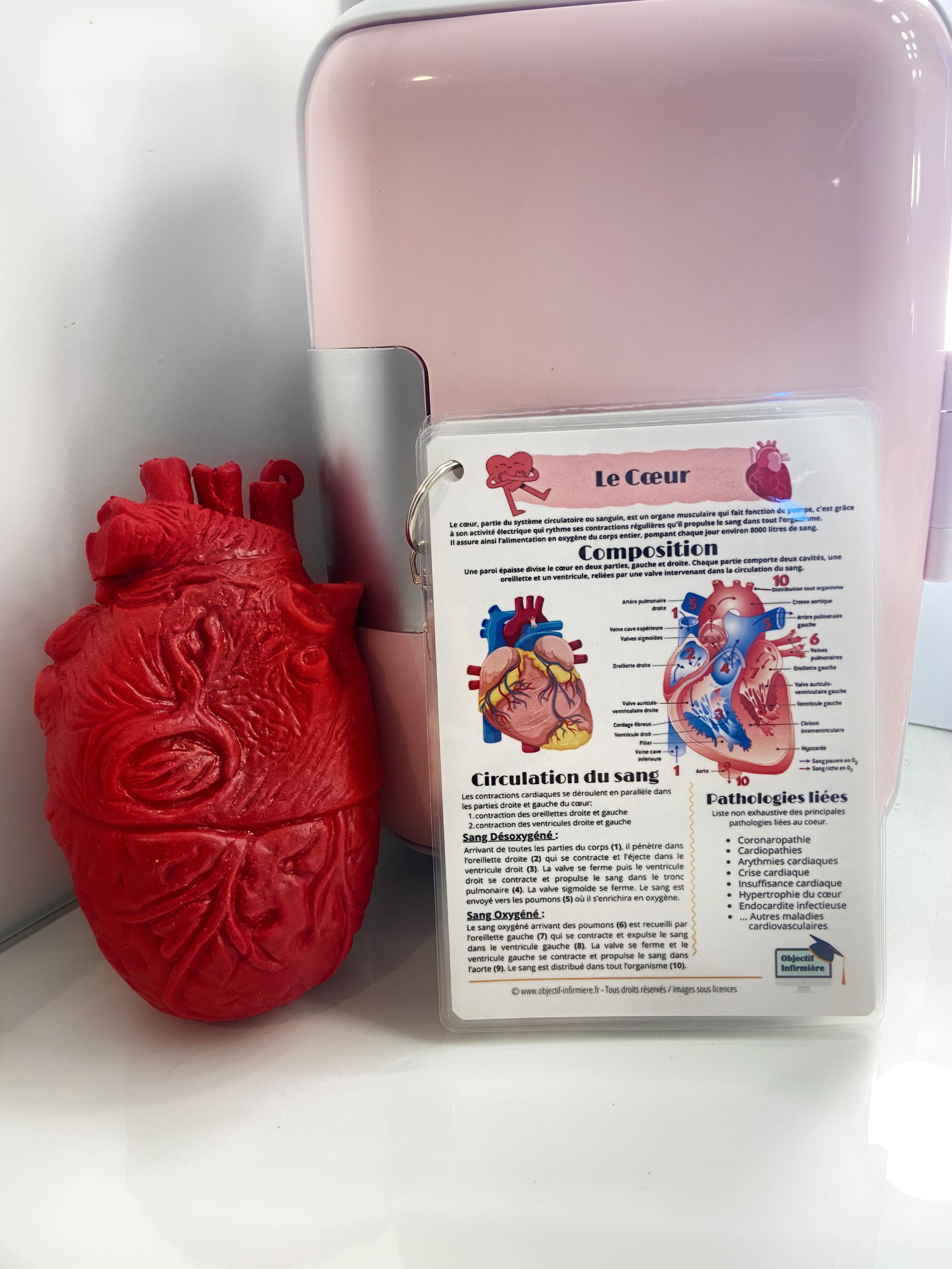 Fiche de Poche pour Soignant sur l'anatomie